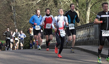 Clumber FULL Clumber FULL